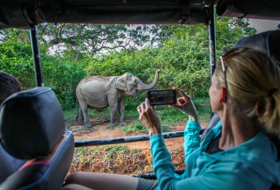 From Colombo : Yala National Park Safari With Tickets - Guides, drivers, and the human side of the trip
