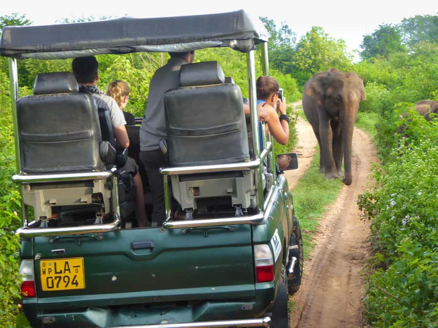 From Colombo : Yala National Park Safari With Tickets - Who will get the most from this tour?