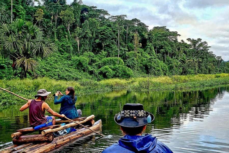 From Cusco: 4-Day Manu National Park Guided Tour - Should you book it?