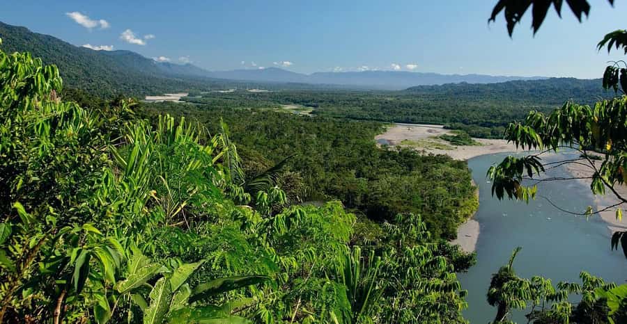 From Cusco: Manu National Park 3 Day Tour - Swamp birds and a search for caimans