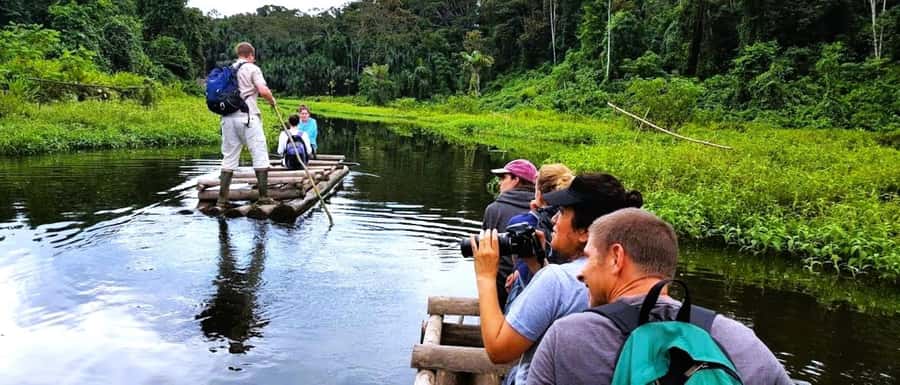 From Cusco: Manu National Park Tour & Accommodation 3 Days - Why this route is more than a rainforest transfer