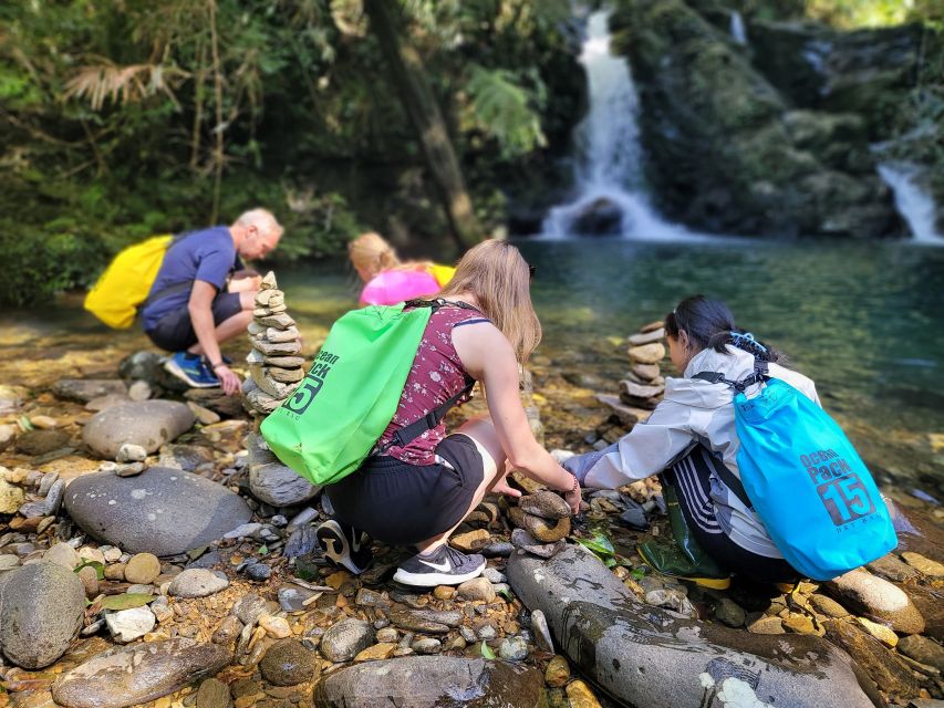 From Da Nang or Hoi An: Bach Ma National Park Trek & Lunch - Do Quyen Waterfall and the roughest walking