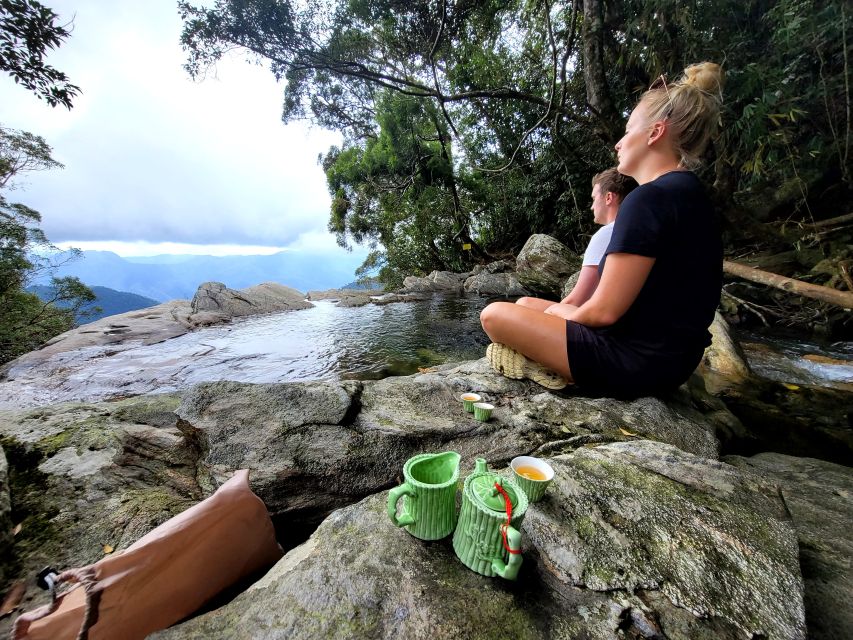 From Da Nang or Hoi An: Bach Ma National Park Trek & Lunch - What the $71 price really covers