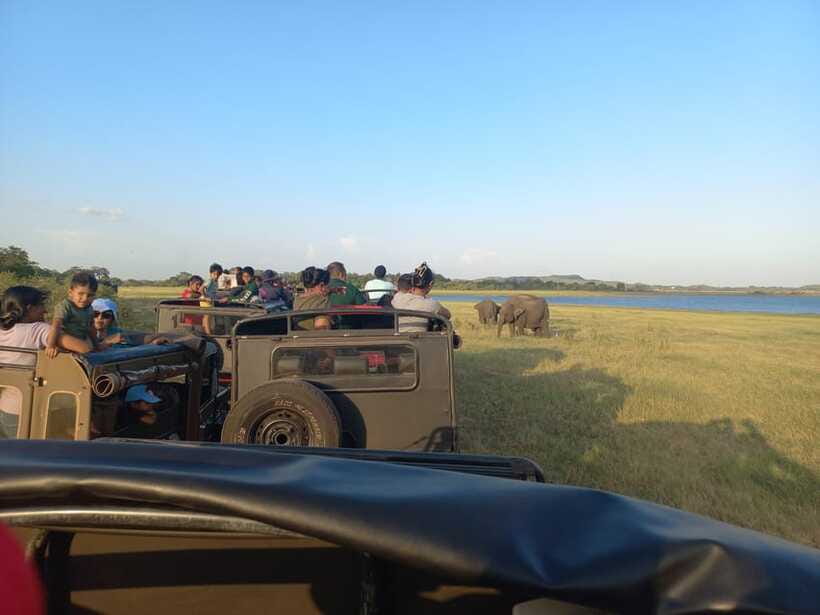 From Dambulla: Minneriya National Park wild Jeep Safari - Minneriya Lake and the old dam