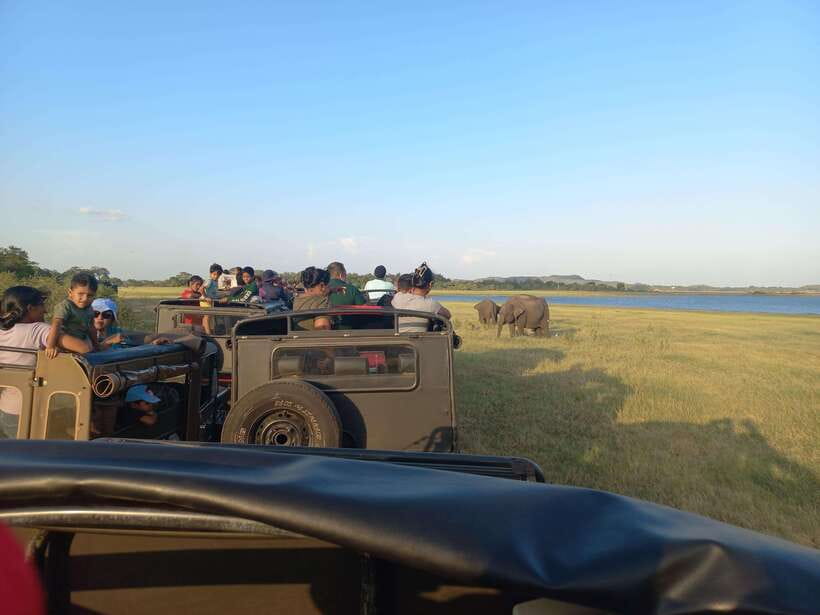 From Dambulla: Minneriya National Park wild Jeep Safari - The 25-minute ride from your hotel
