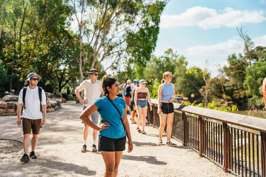 From Darwin: Kakadu Wilderness Escape & Rock Art Day Tour - Fogg Dam: birds, wetlands, and a quieter alternative