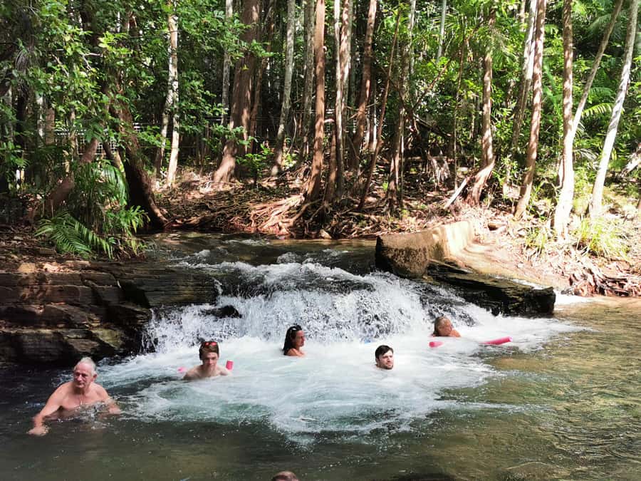 From Darwin: Litchfield National Park Small-Group Day Trip - Guides make or break the long day