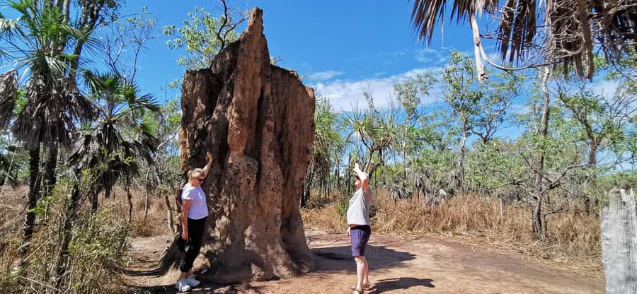 From Darwin: Litchfield National Park Small-Group Day Trip - Batchelor gives the morning a useful pause