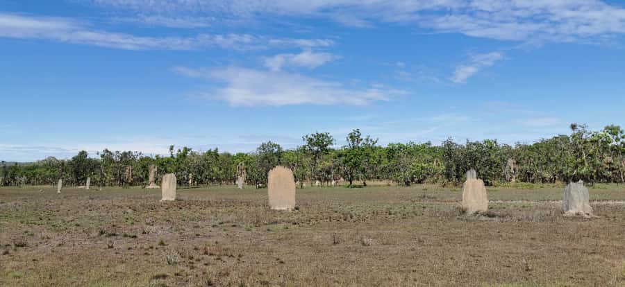 From Darwin: Litchfield National Park Small-Group Day Trip - Magnetic termite mounds: strange towers with a purpose