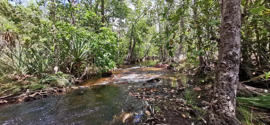From Darwin: Litchfield National Park Small-Group Day Trip - Wangi Falls offers the biggest classic park view
