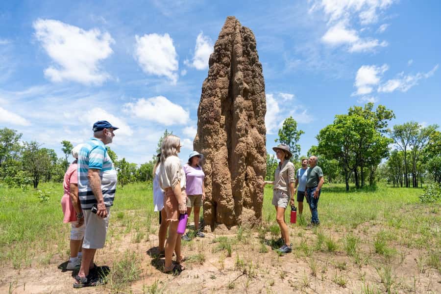 From Darwin: Litchfield National Park & Waterfalls Day Trip - Key points to know before you book