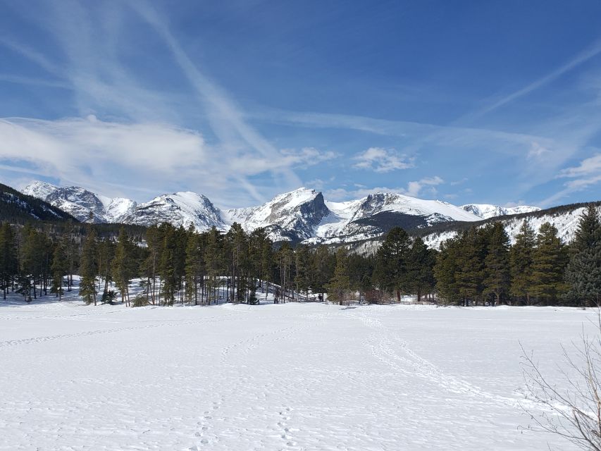From Denver: Rocky Mountain National Park Winter/Spring Tour - Rocky Mountain National Park in winter and spring