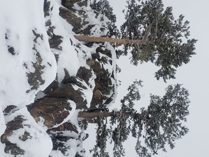 From Denver: Rocky Mountain National Park Winter/Spring Tour - The ride back through Lyons