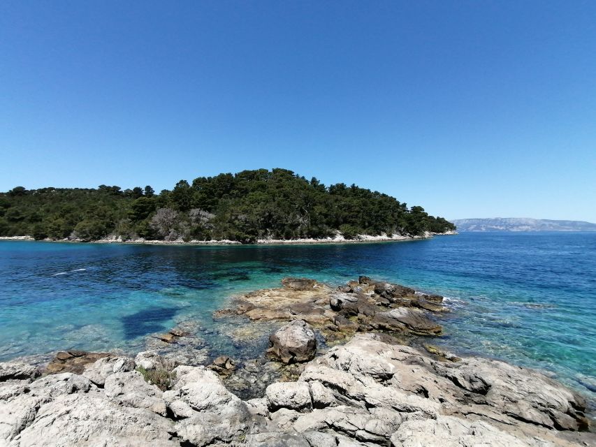 From Dubrovnik: Mljet National Park & Elaphiti Islands Trip - Lopud, Koločep, and the final cave stops