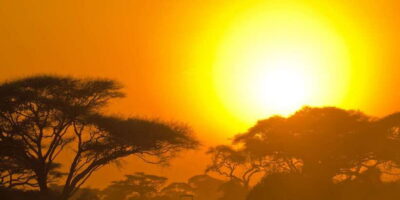 From Ella: Yala National Park Safari Tour in a 4×4
