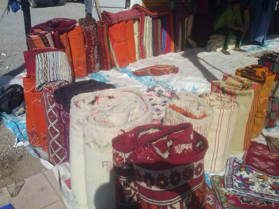 From Fez: Middle Atlas Day Trip with Ifrane National Park - Tea inside a traditional cave home
