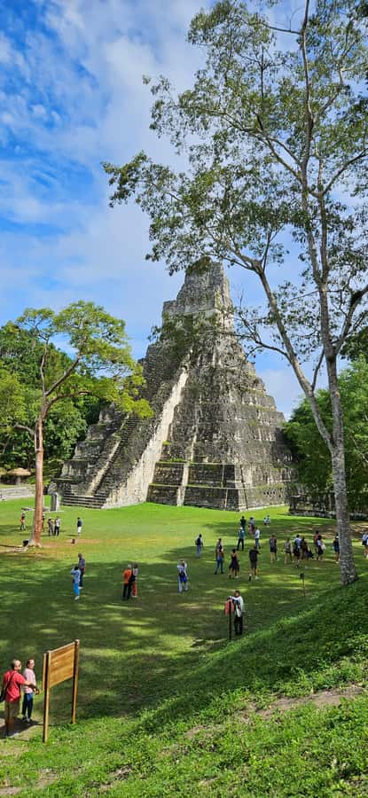 From Flores: Tikal National Park All Inclusive - Why this Flores to Tikal trip works well