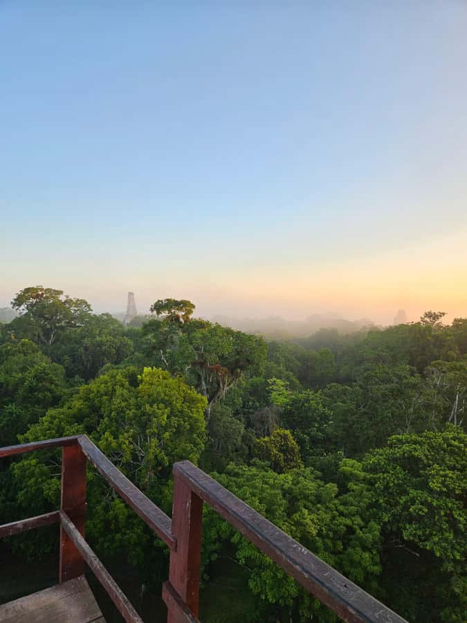 From Flores: Tikal National Park All Inclusive - The 90-minute ride into Petén