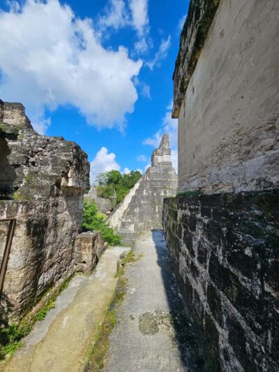 From Flores: Tikal National Park All Inclusive
