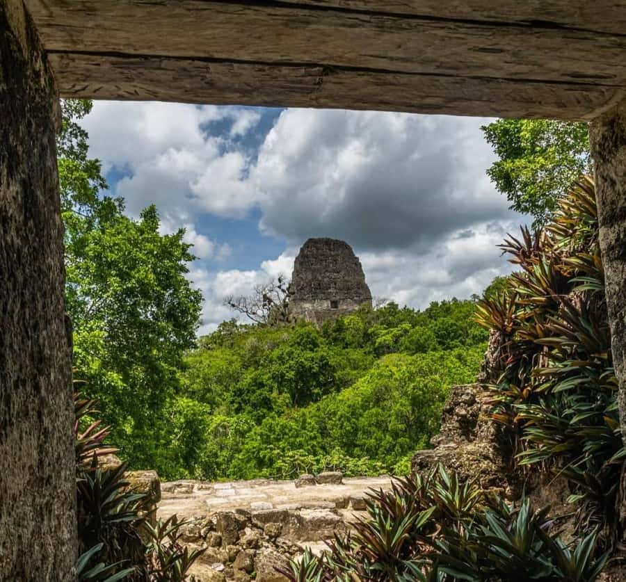 From Flores: Tikal National Park Private Day Trip with Lunch - Why this private Tikal trip is worth considering