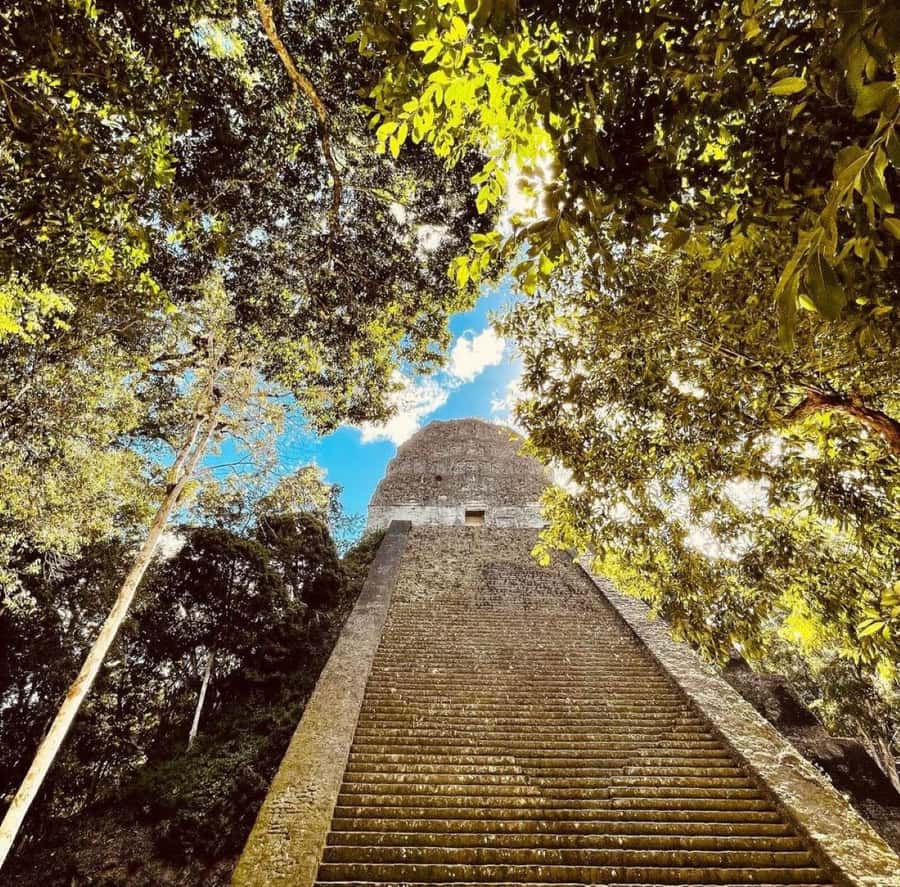 From Flores: Tikal National Park Private Day Trip with Lunch - The road to Tikal and the 9:20 entrance checkpoint