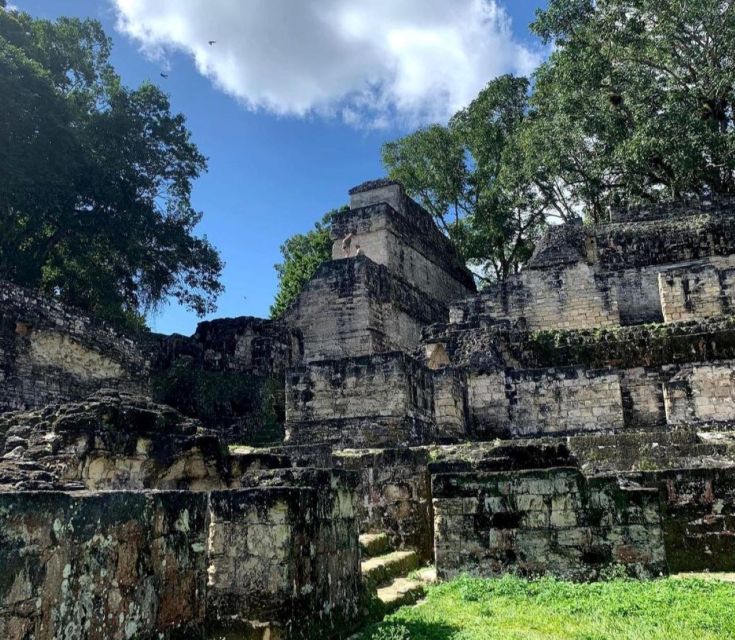 From Flores: Tikal National Park Private Day Trip with Lunch - Lost World and the climb up Temple V