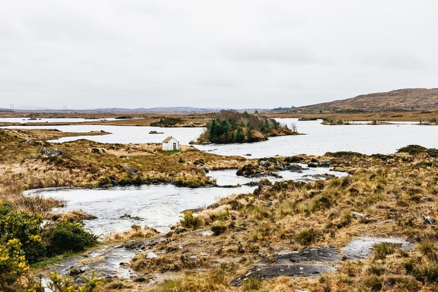 From Galway: Connemara and Connemara National Park Day Trip - What the $57 price really buys you