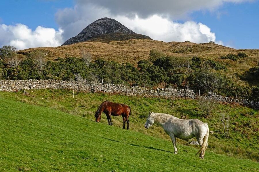 From Galway: Connemara National Park Full Day Tour - Two hours at Connemara National Park