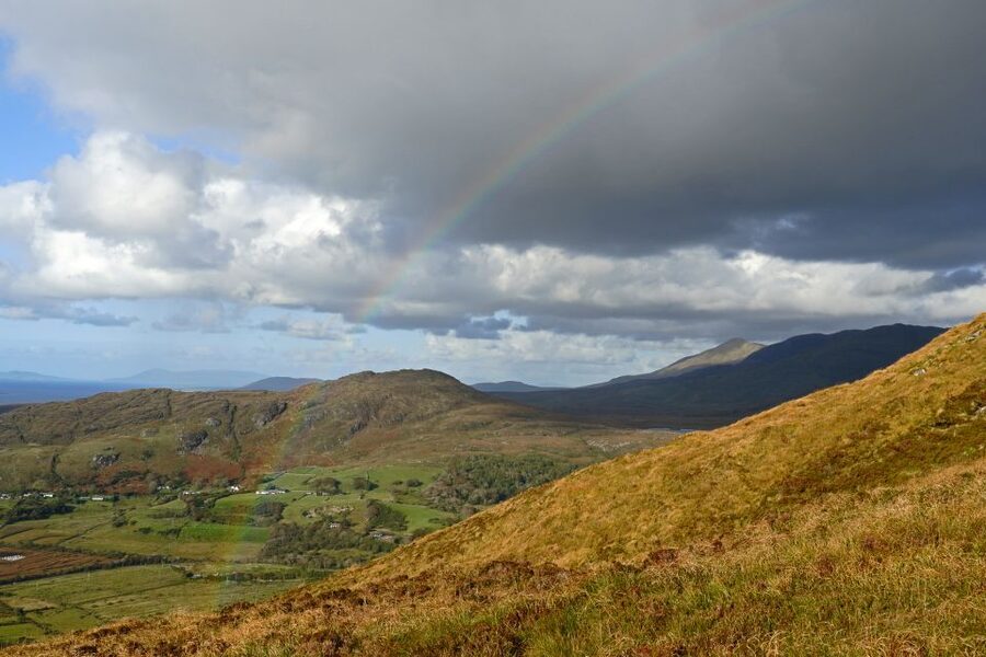 From Galway: Connemara National Park Full Day Tour - What the guide adds to the day