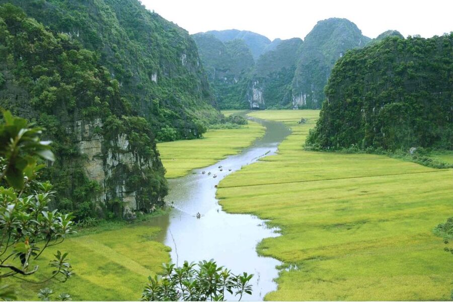 From Hanoi: Ninh Binh & Cuc Phuong National Park 2-Day Tour - Rowing through Tam Coc’s caves