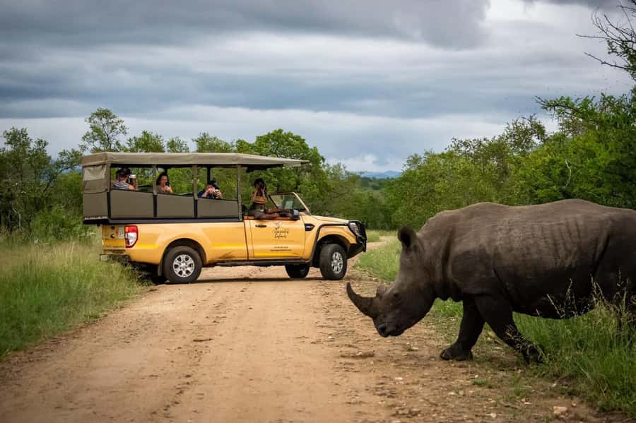 From Hazyview: Kruger National Park Full-Day Safari - Key points at a glance