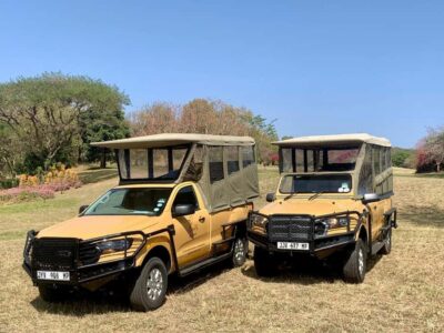 From Hazyview: Kruger National Park Full-Day Safari