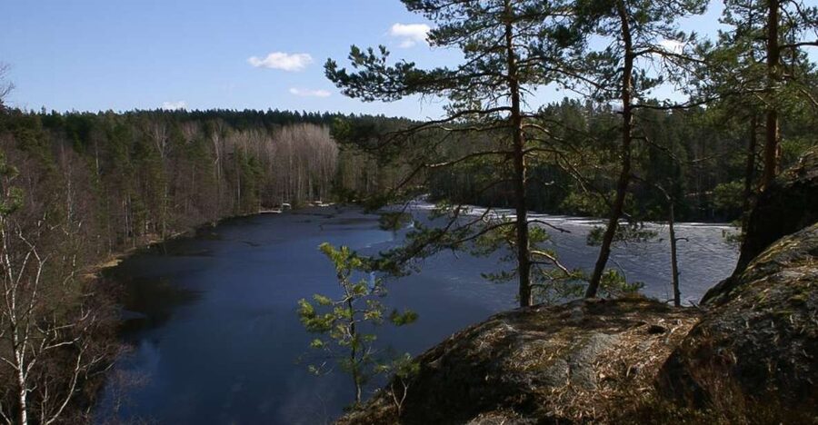 From Helsinki: Nuuksio National Park Half-Day Trip - First steps into Nuuksio National Park