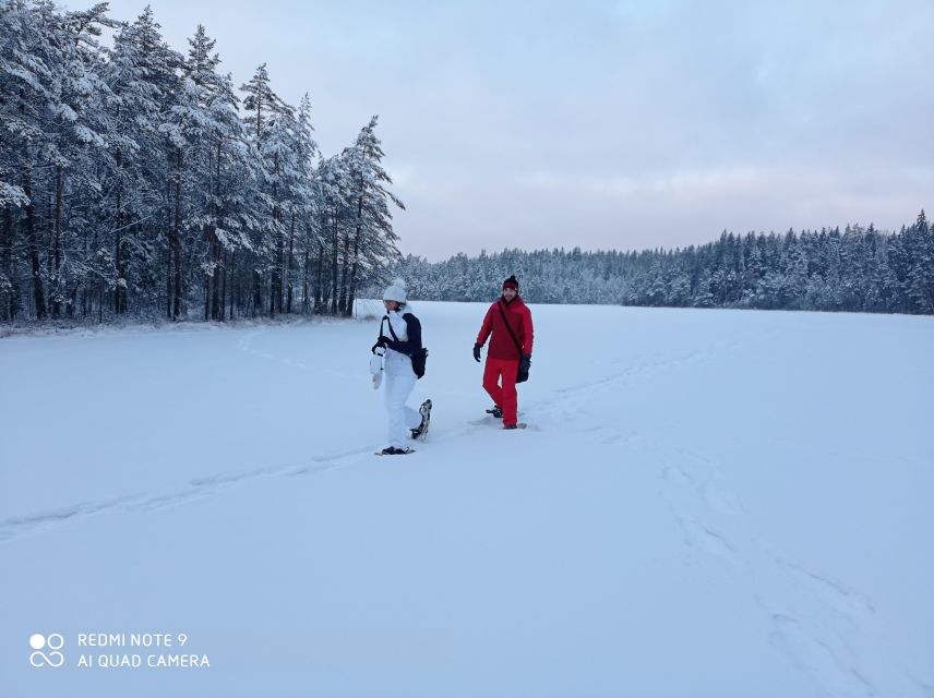 From Helsinki: Nuuksio National Park Hiking Tour with Food - Why Nuuksio makes a smart half-day escape
