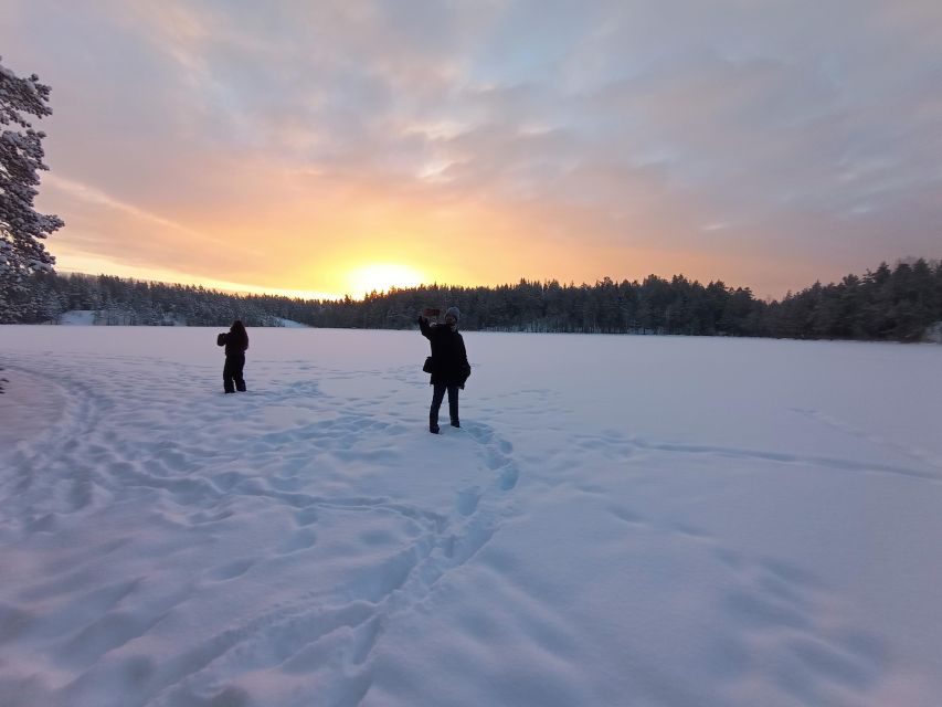From Helsinki: Nuuksio National Park Hiking Tour with Food - Seasonal activities: snowshoes in winter and swimming in summer