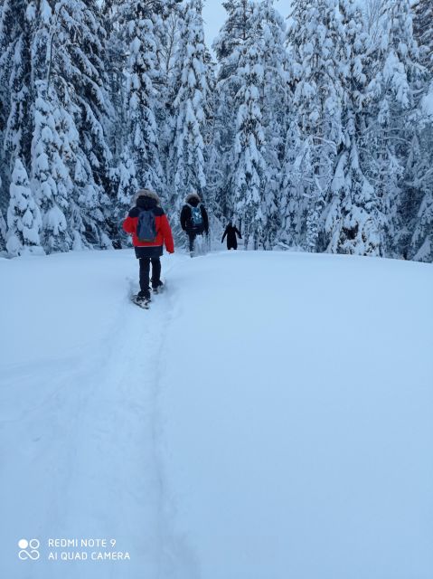 From Helsinki: Nuuksio National Park Hiking Tour with Food - Practical details that matter