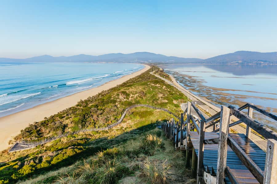 From Hobart/Adventure Bay: Bruny Island Wilderness Cruise - Key things to know before you book