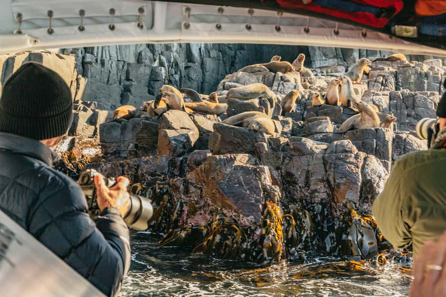 From Hobart/Adventure Bay: Bruny Island Wilderness Cruise - The boat ride and what the seating means