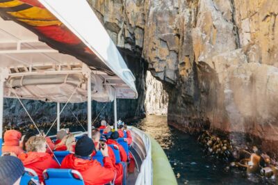 From Hobart/Adventure Bay: Bruny Island Wilderness Cruise