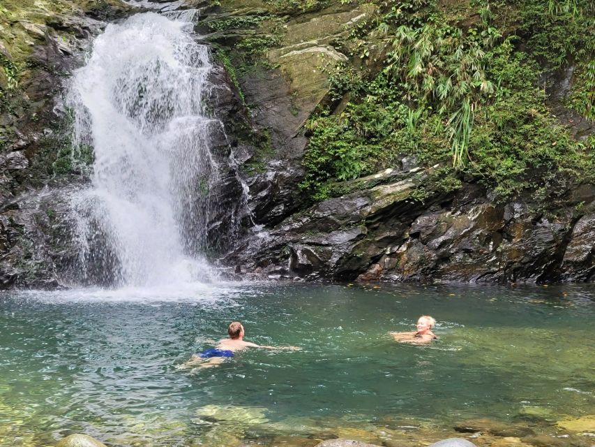 From Hue: Bach Ma National Park Hiking Day Trip with Pickup - The guide can shape the whole experience