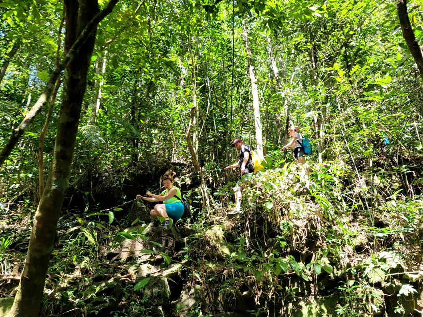 From Hue: Bach Ma National Park Hiking Day Trip with Pickup - What to pack for the day