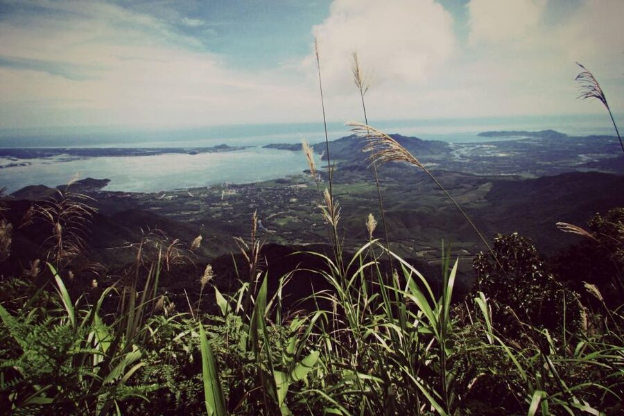 From Hue/Da Nang/Hoi An: Bach Ma National Park Trekking Tour - Five details worth knowing before you book