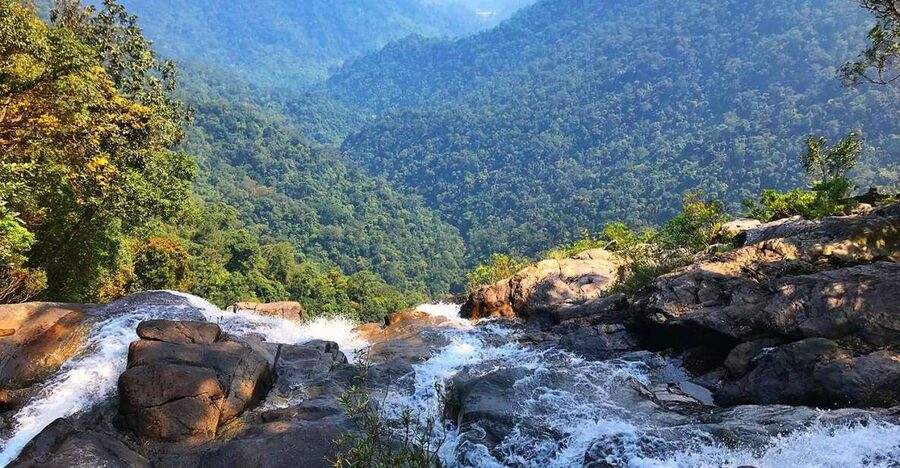 From Hue/Da Nang/Hoi An: Bach Ma National Park Trekking Tour - Hai Vong Dai and the first forest views