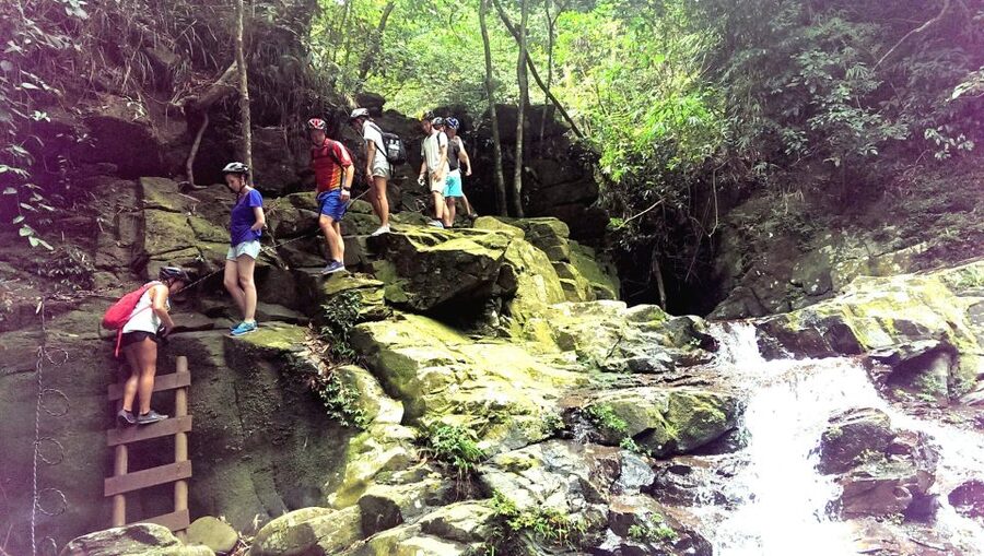 From Hue/Da Nang/Hoi An: Bach Ma National Park Trekking Tour - Reaching the park by bus