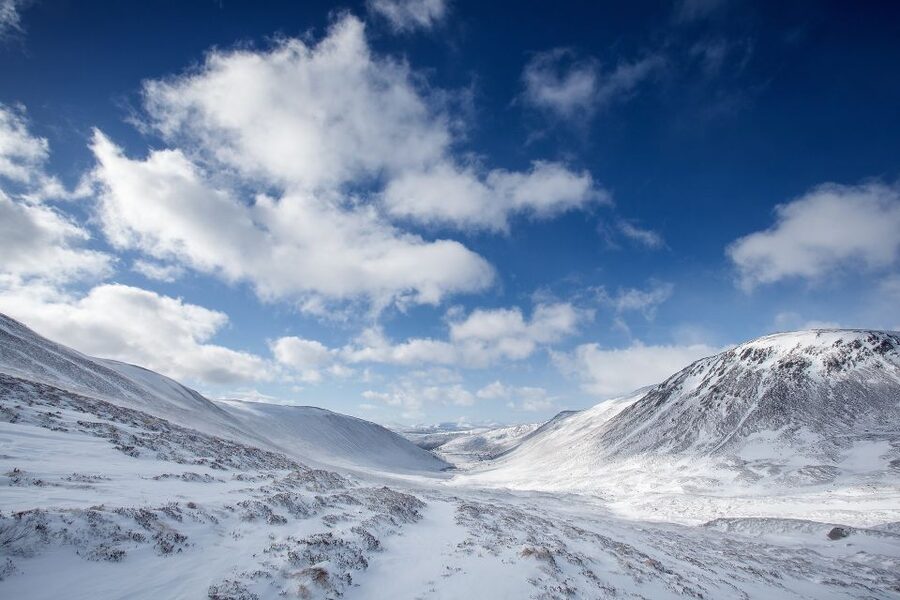 From Inverness: Cairngorms National Park and Whisky Tour - At a glance