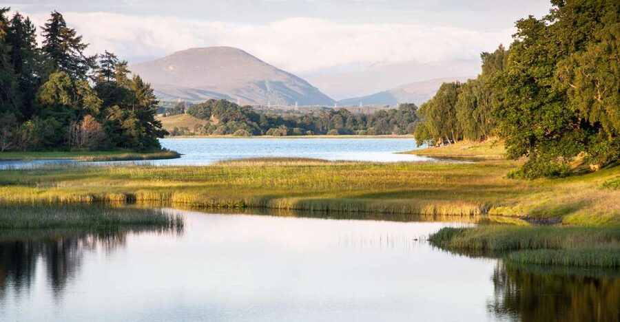From Inverness: Cairngorms National Park and Whisky Tour - Why this day trip works from Inverness
