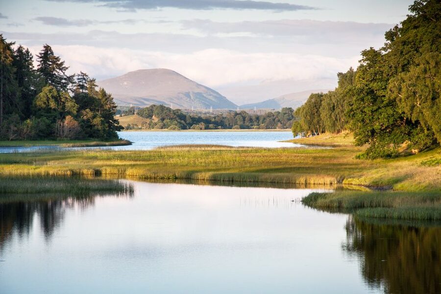 From Inverness: Cairngorms National Park and Whisky Tour - Carrbridge and the Old Packhorse Bridge