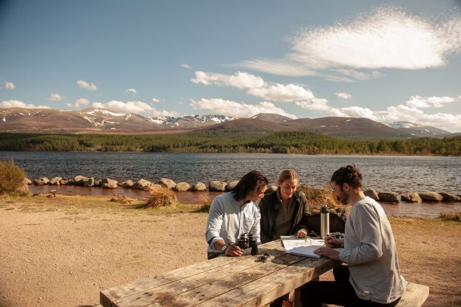 From Inverness: Cairngorms National Park and Whisky Tour - Dava Moor opens the road to the Cairngorms