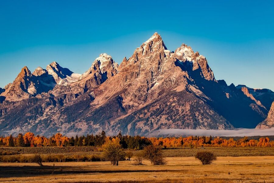 From Jackson: Half-Day Grand Teton National Park Tour - Why this four-hour tour works so well