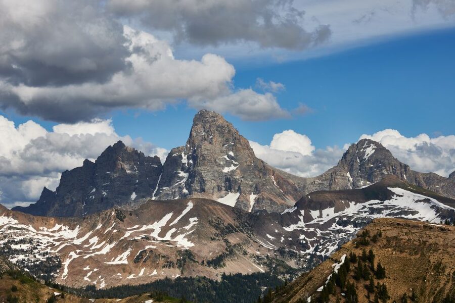 From Jackson: Half-Day Grand Teton National Park Tour - Willow Flats, Oxbow Bend, and wildlife country